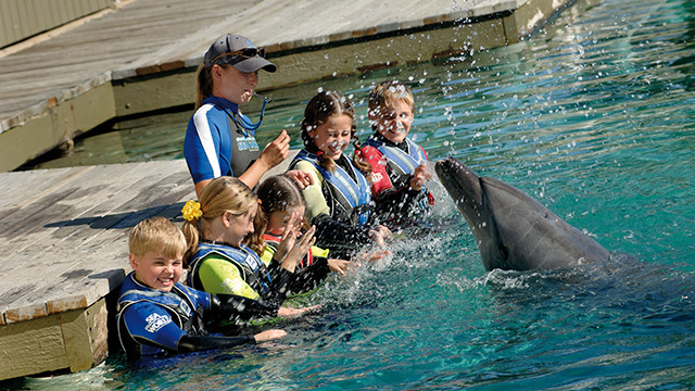 theme park ticket deals nrma